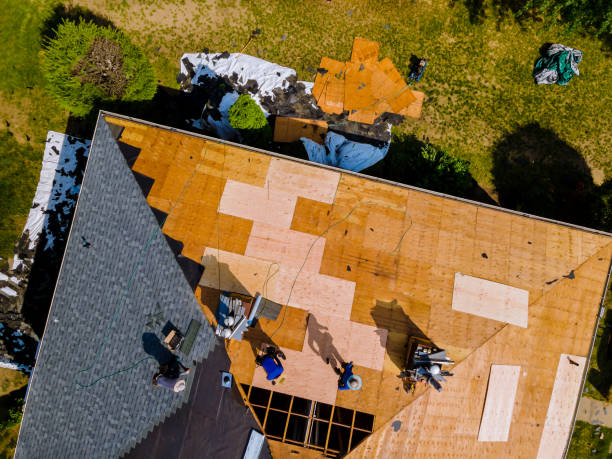 Quick and Trustworthy Emergency Roof Repair Services in East Brewton, AL