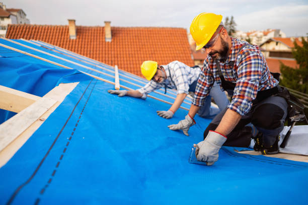 Quick and Trustworthy Emergency Roof Repair Services in East Brewton, AL