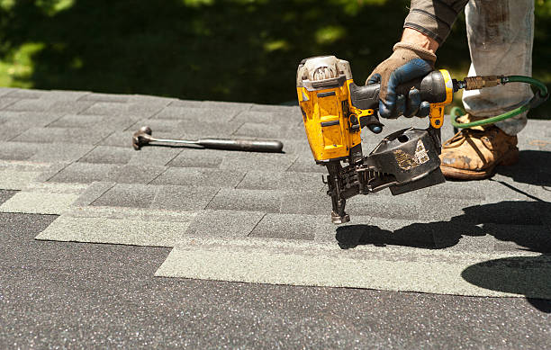 Best Roof Gutter Cleaning  in East Brewton, AL